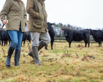 Le chameau wool lined on sale boots